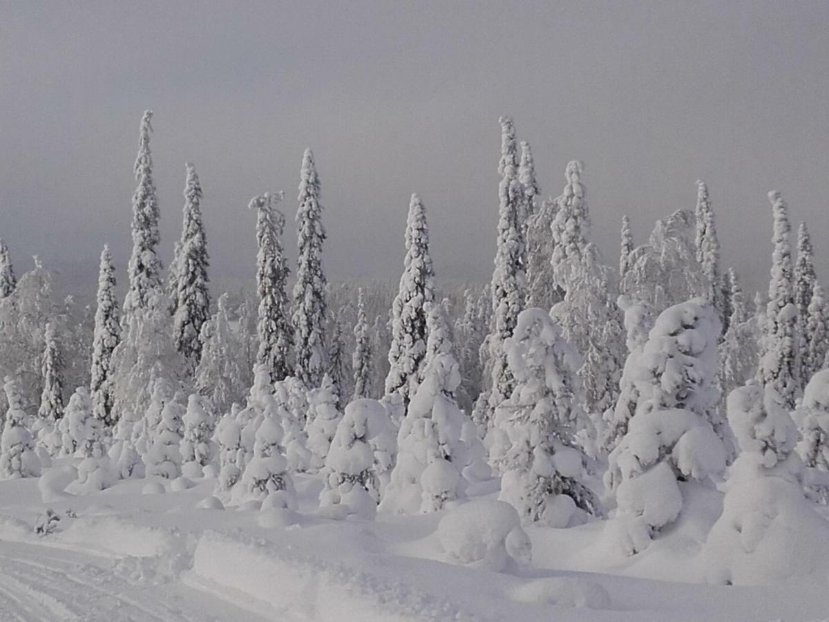 Villa Ollilan Lomamajat Kuusamo Exterior foto